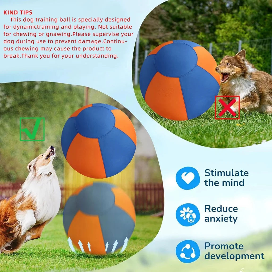 Dog Herding Ball — built for the chase