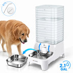 Pet Water Fountain with Stainless Steel Bowl